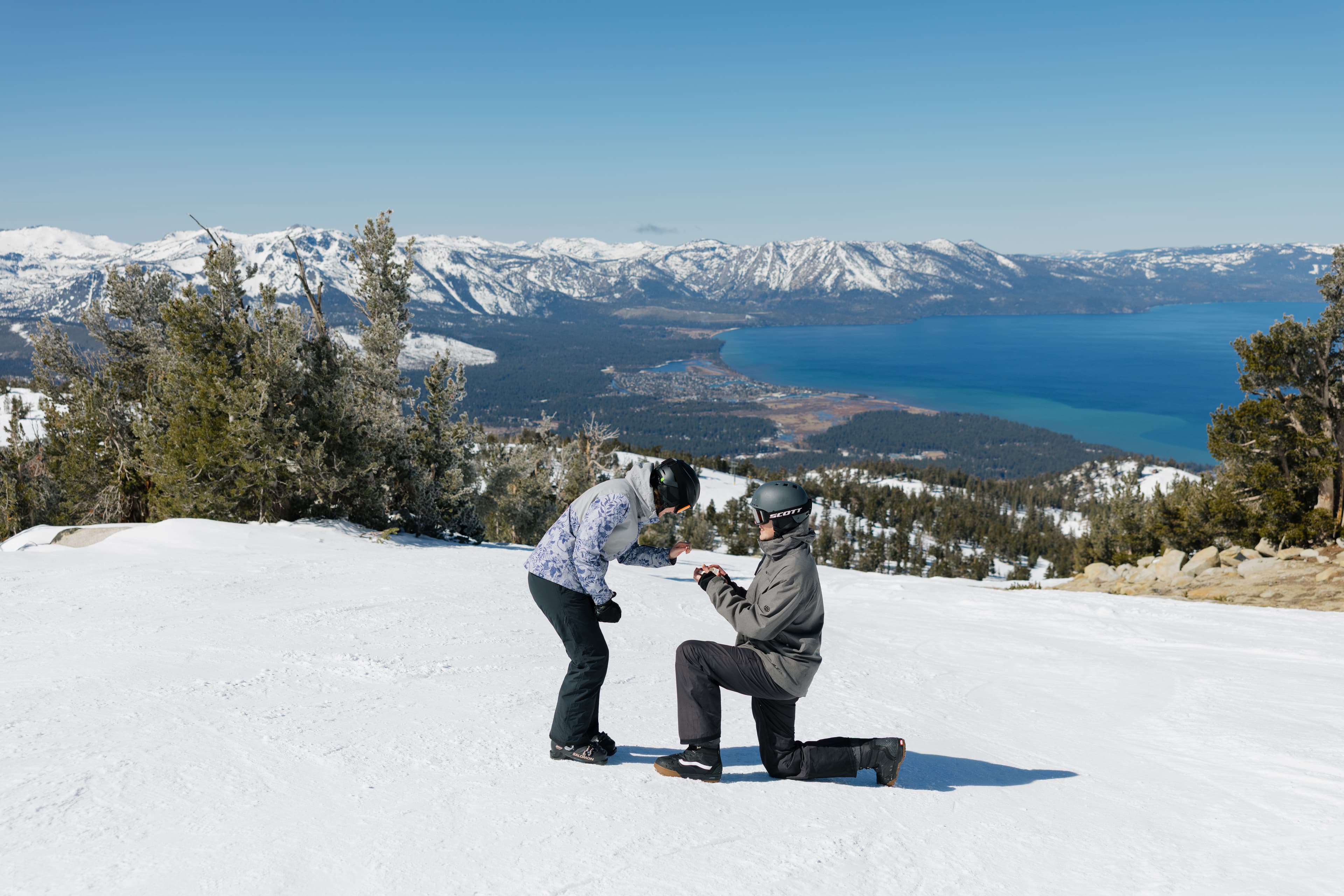 Proposal